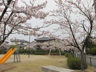 道田町公園のイメージ